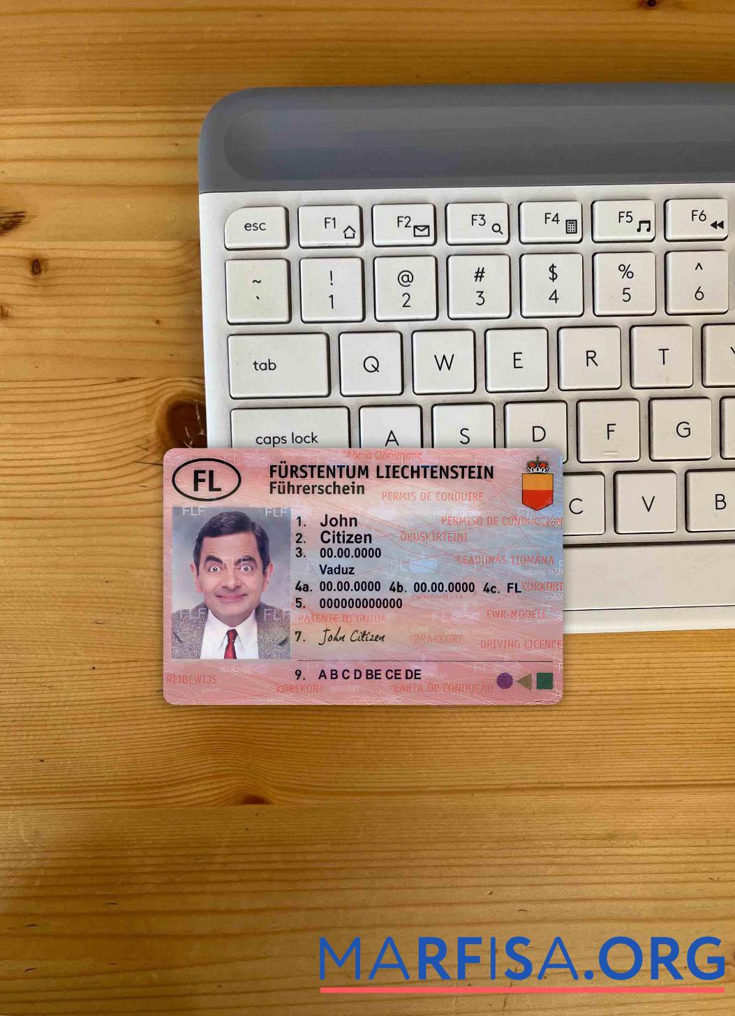 Blank Liechtenstein driving license photolook sample